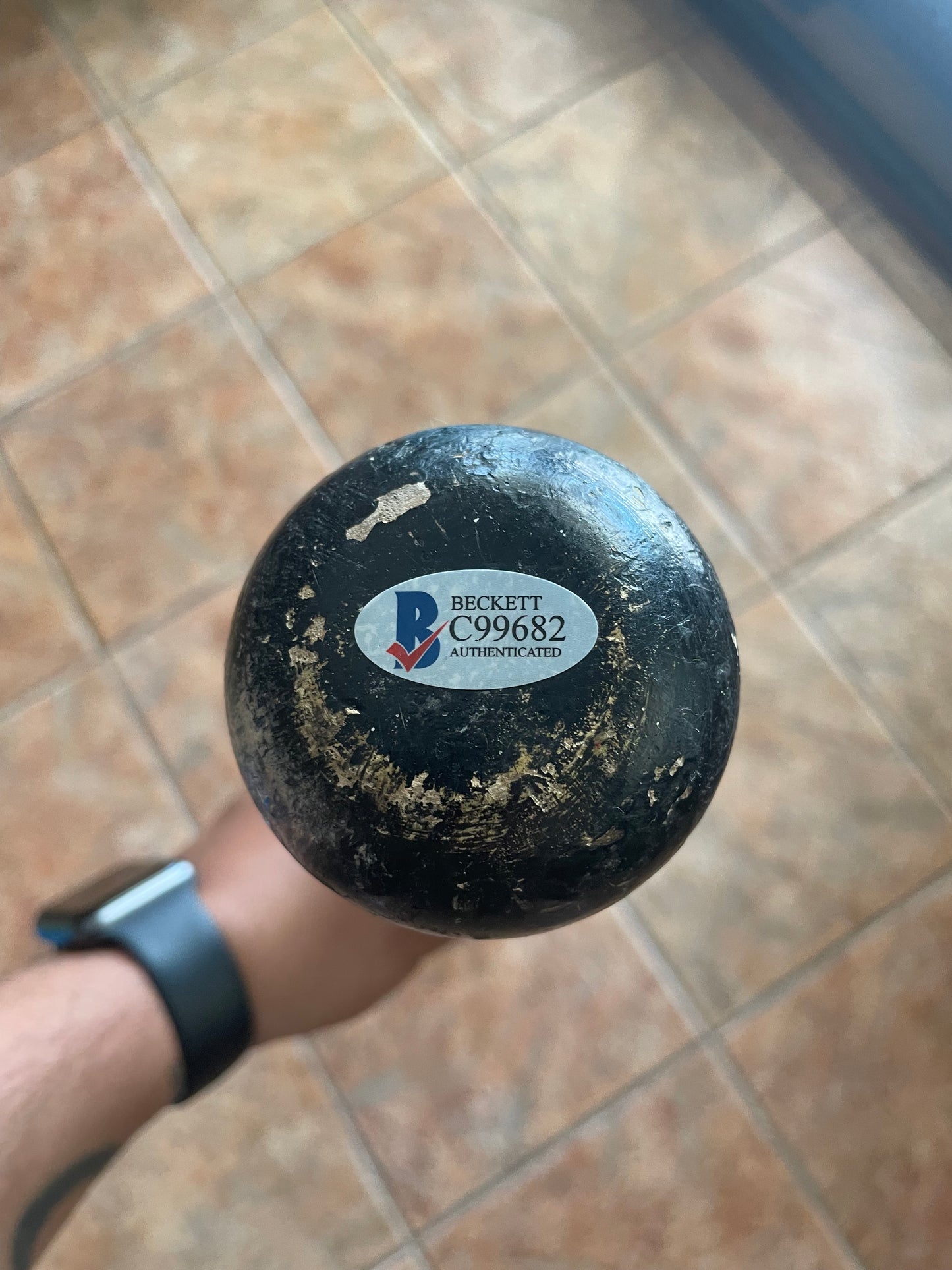 Hanley Ramirez 2010 Game Used Bat