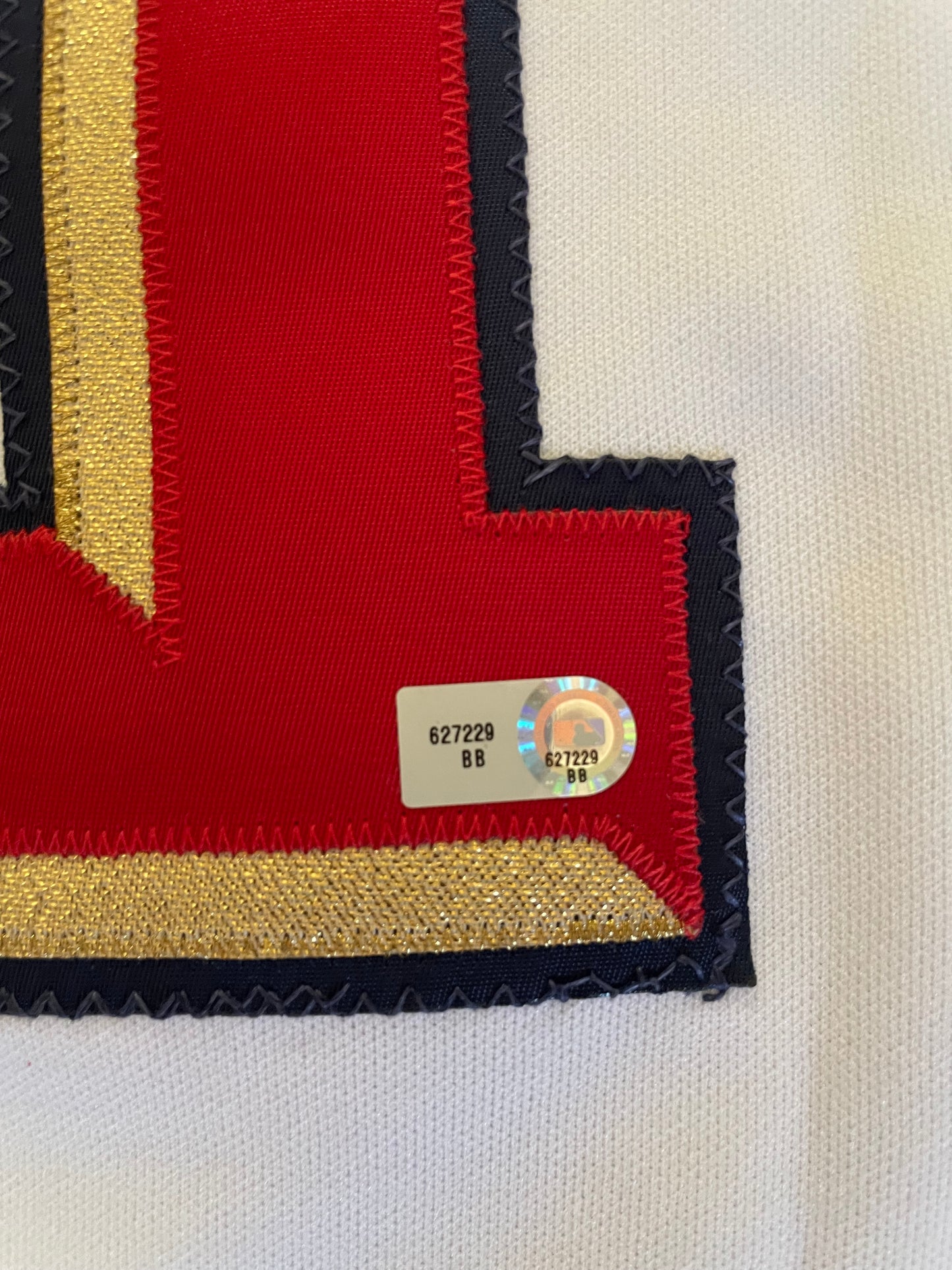 Dmitri Young 2007 Allstar Game Game Used Jersey